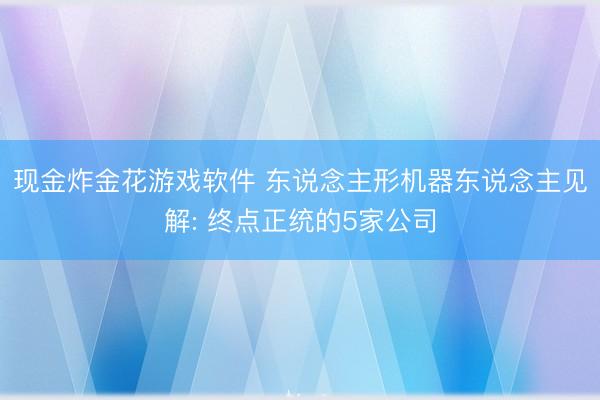 现金炸金花游戏软件 东说念主形机器东说念主见解: 终点正统的5家公司