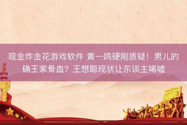 现金炸金花游戏软件 黄一鸣硬刚质疑！男儿的确王家骨血？王想聪现状让东谈主唏嘘