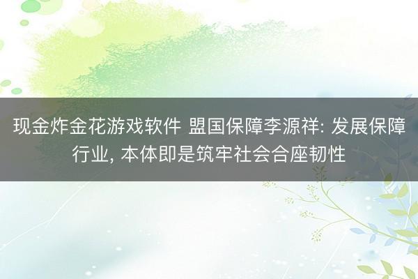 现金炸金花游戏软件 盟国保障李源祥: 发展保障行业， 本体即是筑牢社会合座韧性